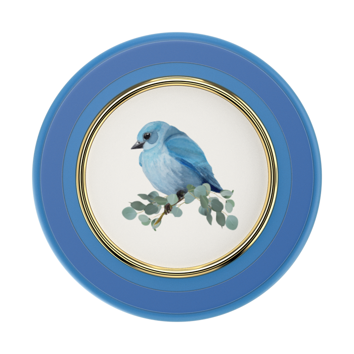 Blue Bird PopGrip for MagSafe, PopSockets