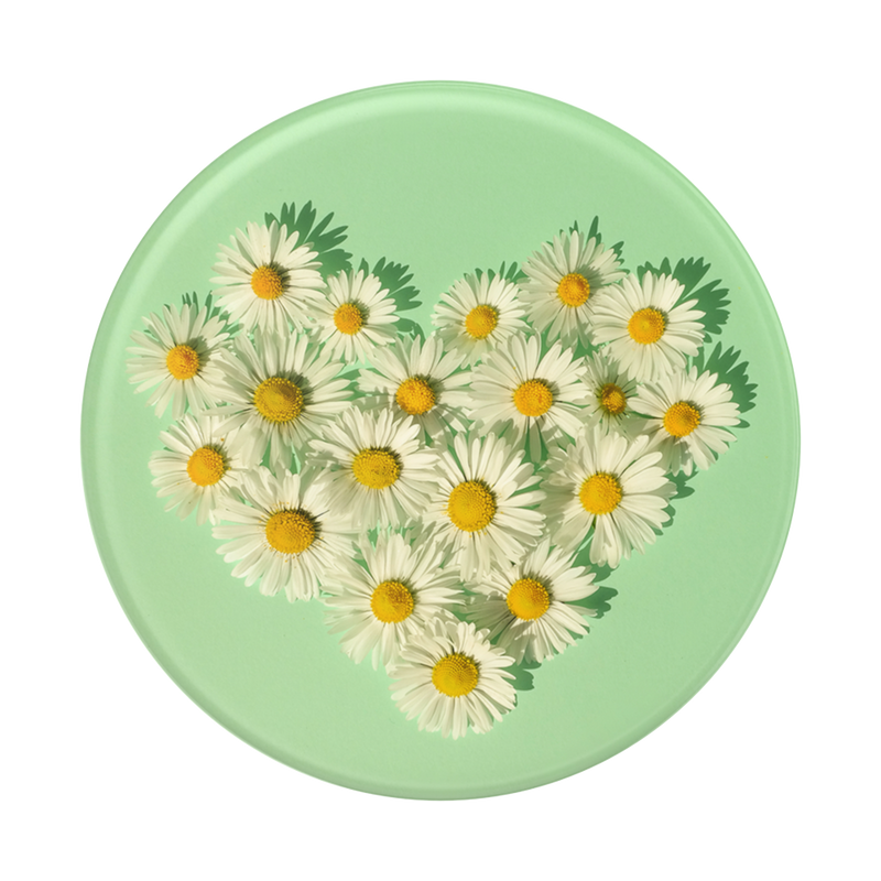 Daisy Lover