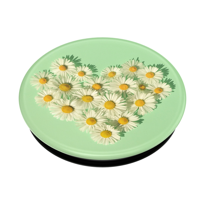 Daisy Lover, PopSockets